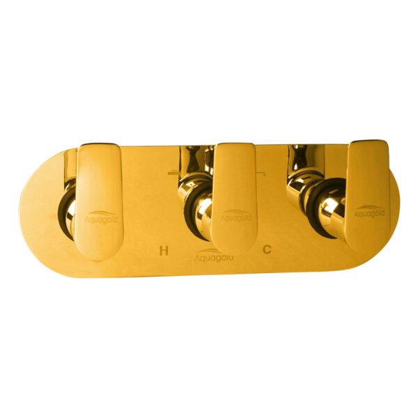 Exposed Set for Concealed Mixer - Vogue