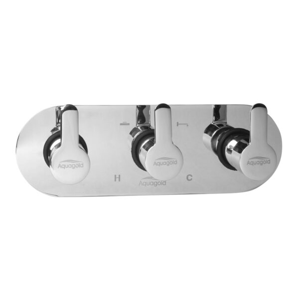 Exposed Set for Concealed Mixer - Divine