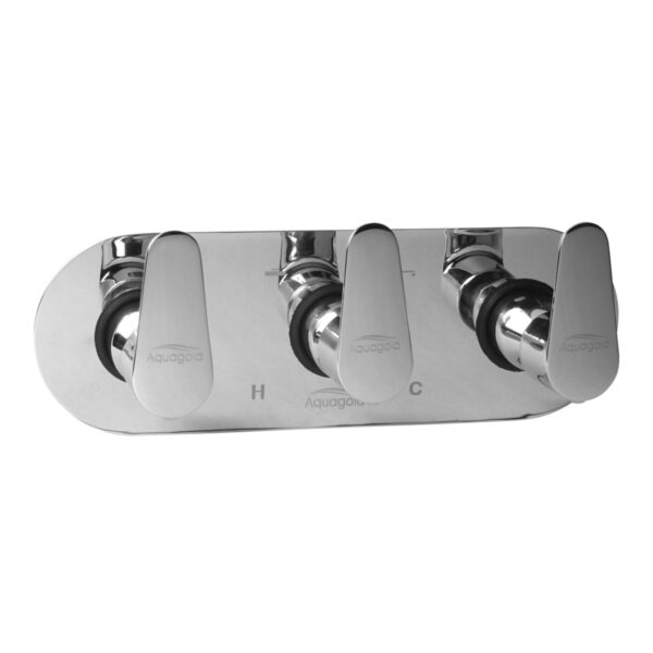 Exposed Set for Concealed Mixer - Amara
