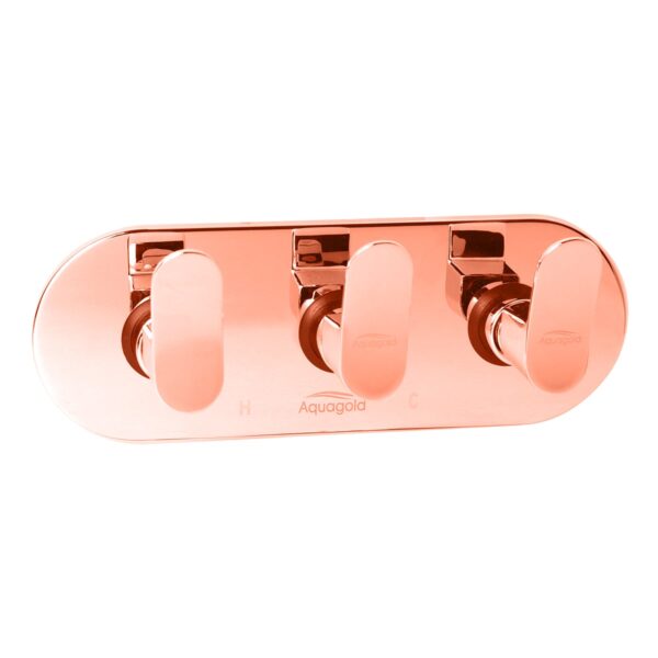 Exposed Set for Concealed Mixer - Noor