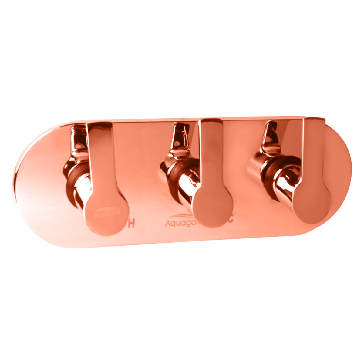 Exposed Set for Concealed Mixer - Elite
