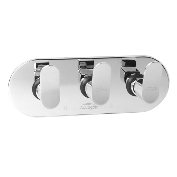 Exposed Set for Concealed Mixer - Noor